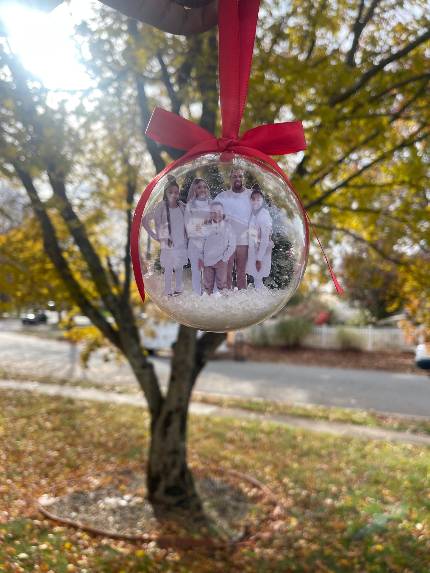 3D Photo Christmas Ornament