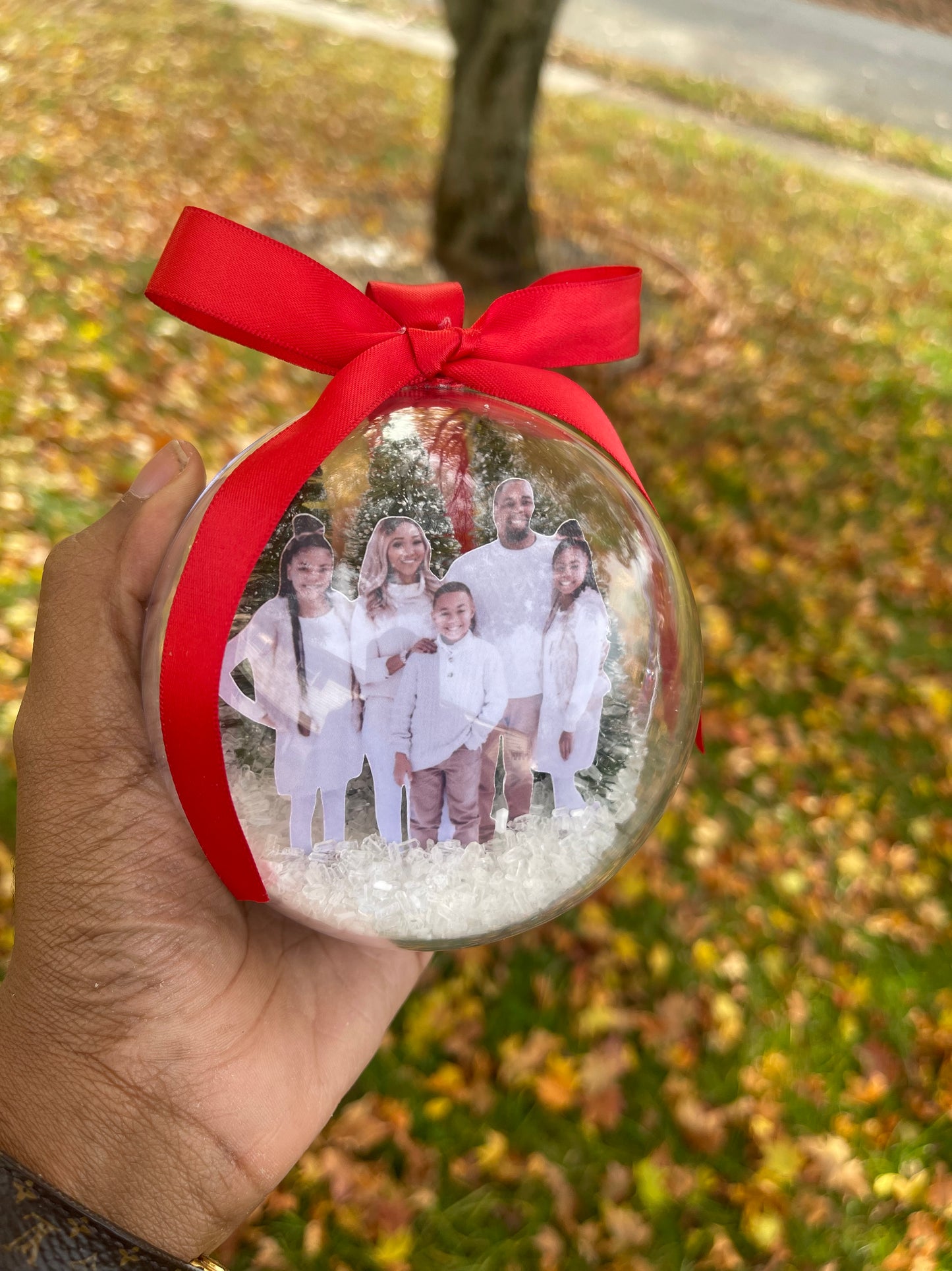 3D Photo Christmas Ornament