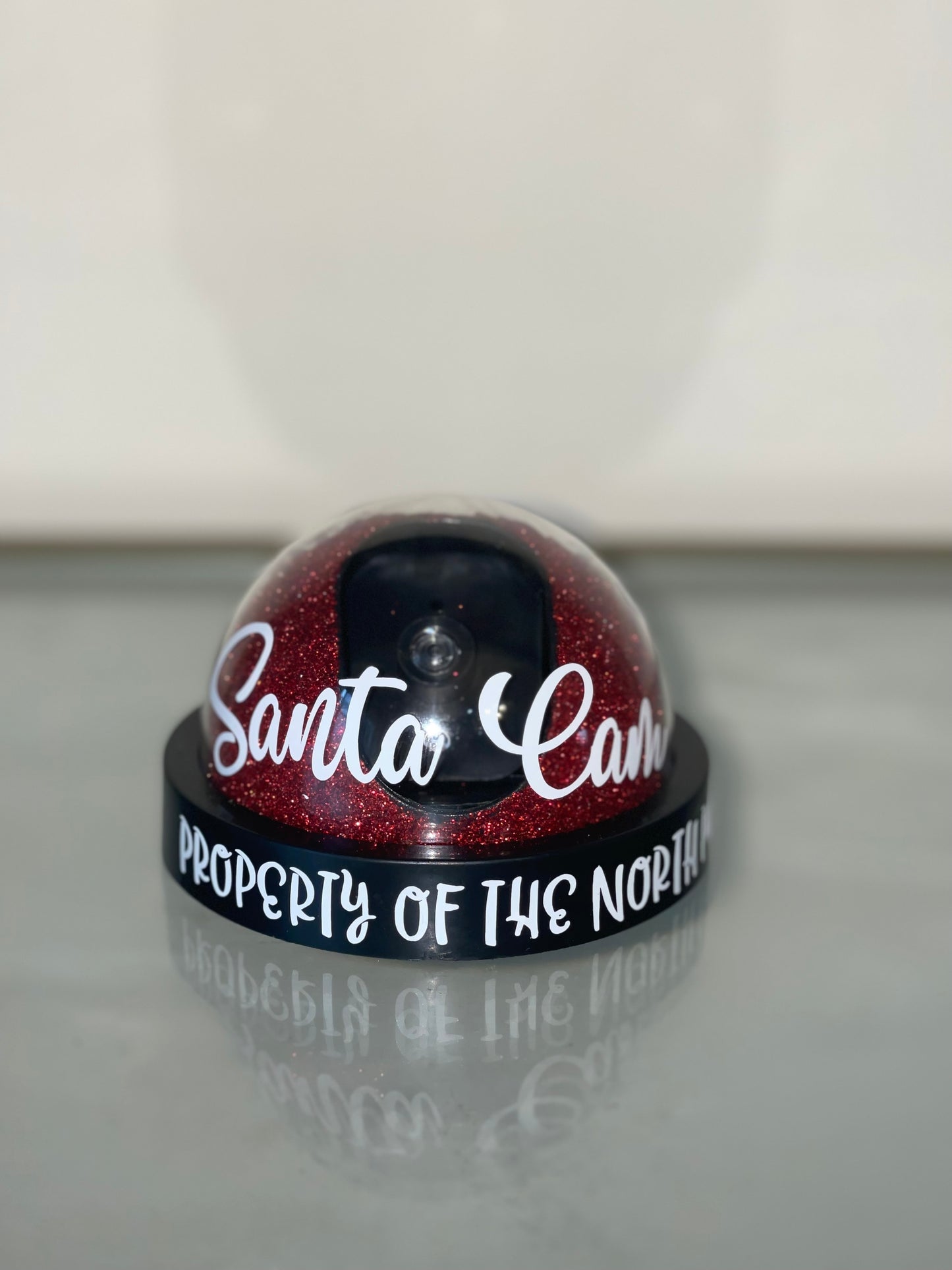 Santa Surveillance Camera